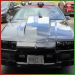 Markham Stouffville Cruisers