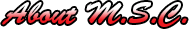 Markham Stouffville Cruisers | About Markham Stouffville Cruisers