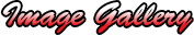 Markham Stouffville Cruisers | Image Gallery